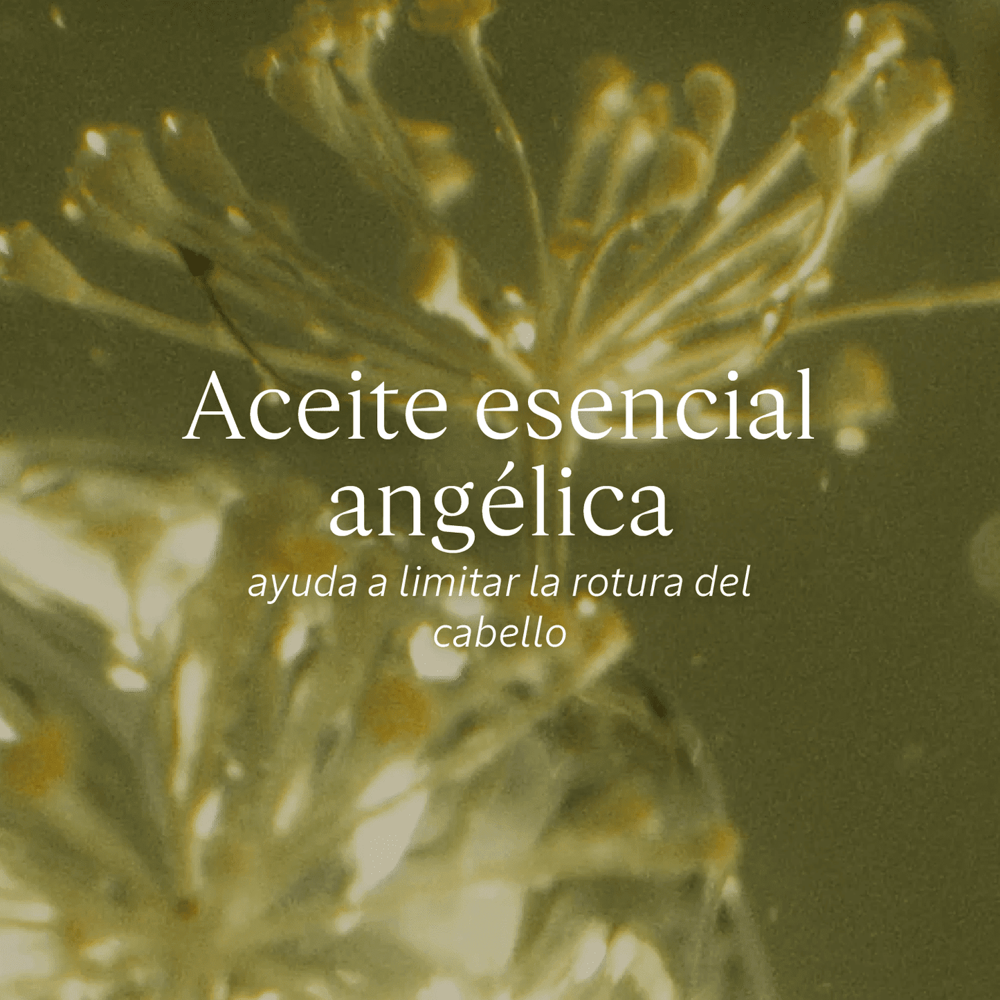 Aceite Sublimador Reparación Intensiva Normal BLOC03693 