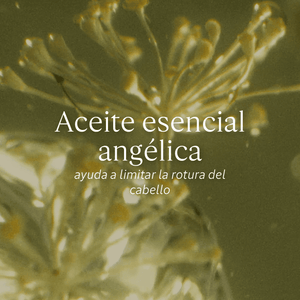 Aceite Sublimador Reparación Intensiva Normal BLOC03693 