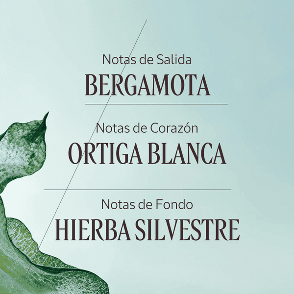 Ortie Blanche gel de ducha Normal BLOC40354 