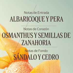 Osmanthus Abricot eau de toilette Normal BLOC40392 