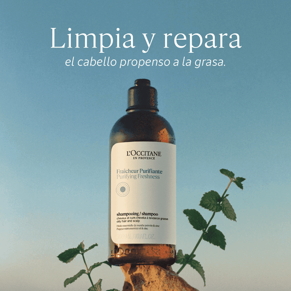 Champú Frescura Purificante Aromacología 75ml Normal BLOC03580 