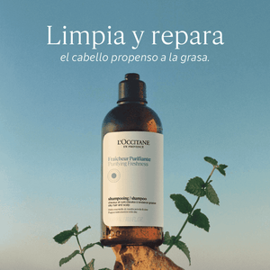 Champú Frescura Purificante Aromacología 75ml Normal BLOC03580 