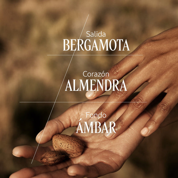 Velo de Leche Almendra Normal BLOC40567 