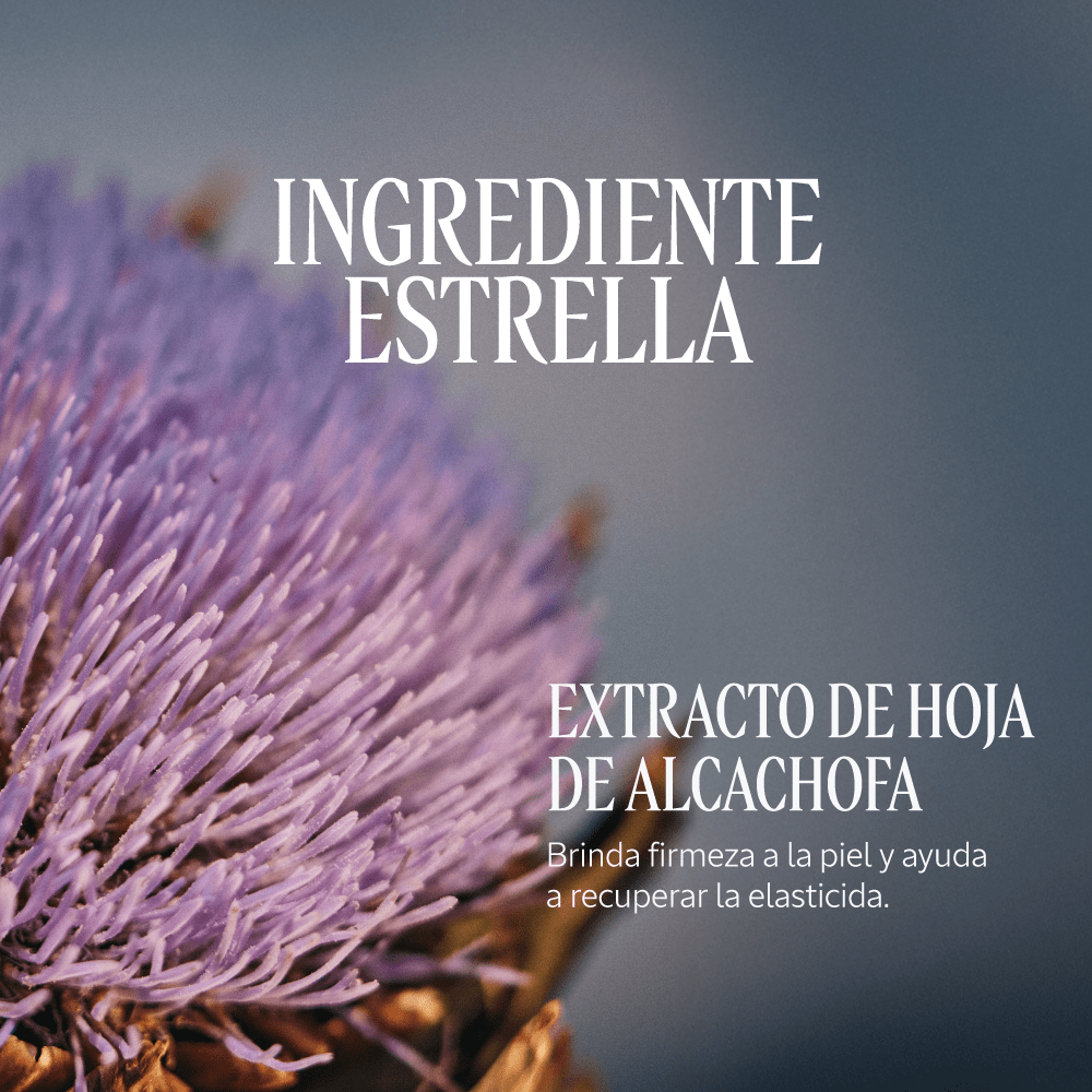 Crema Corporal Alcachofa 200ML BELLEZA BLOC03176 