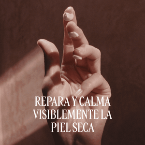 Bálsamo de Manos Intenso Karité Normal BLOC40519 