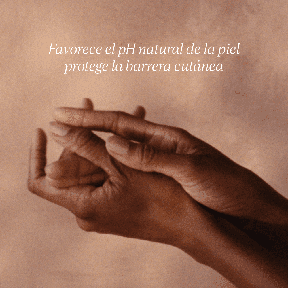 Recarga Espuma Manos y Cuerpo Ultra Rica Karité Refill BLOC40520 