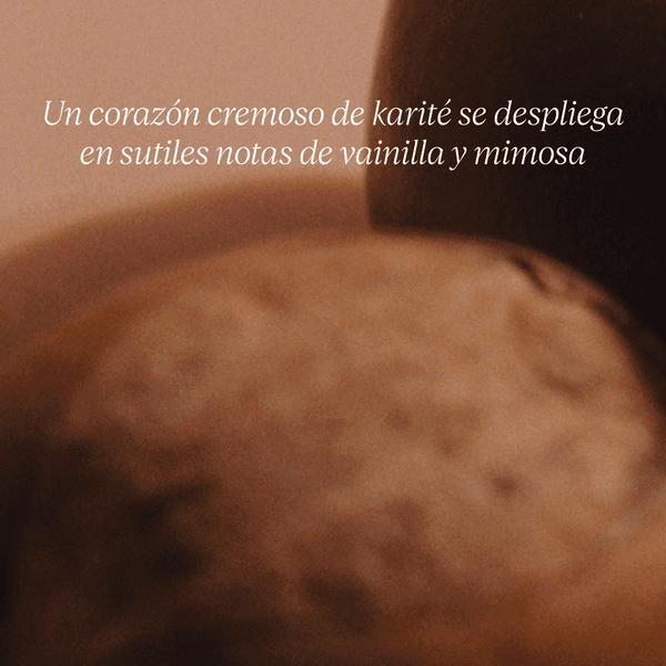 Recarga Espuma Manos y Cuerpo Ultra Rica Karité Refill BLOC40520 