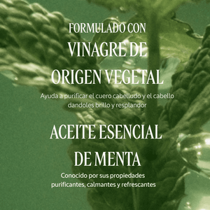 Frescura Purificante Brillo de Vinagre Normal BLOC03561 