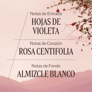 Rose jabón perfumado Normal BLOC40437 