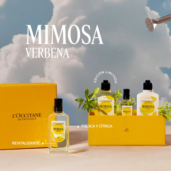 Fragancias femeninas, masculinas y para tu hogar | L'Occitane – L