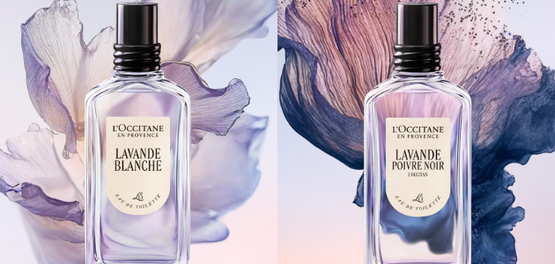 fragancias naturales perfumes ingredientes naturales sin alcohol aromas frescos