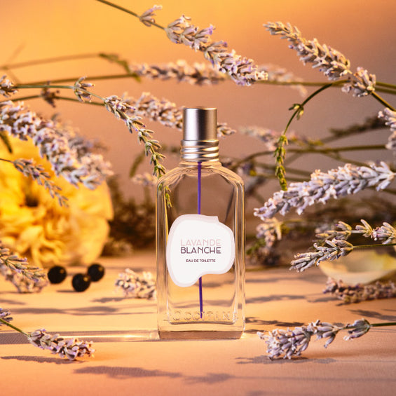 Descubre Lavande Blanche de L'Occitane, una fragancia fresca con esencia de lavanda, ideal para regalar o consentirte. Disponible en nuestra tienda en línea en Panamá.