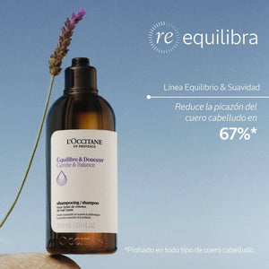 Ecorrecarga Champú Equilibrio & Suavidad Aromacología 500ml - L'Occitane Panama